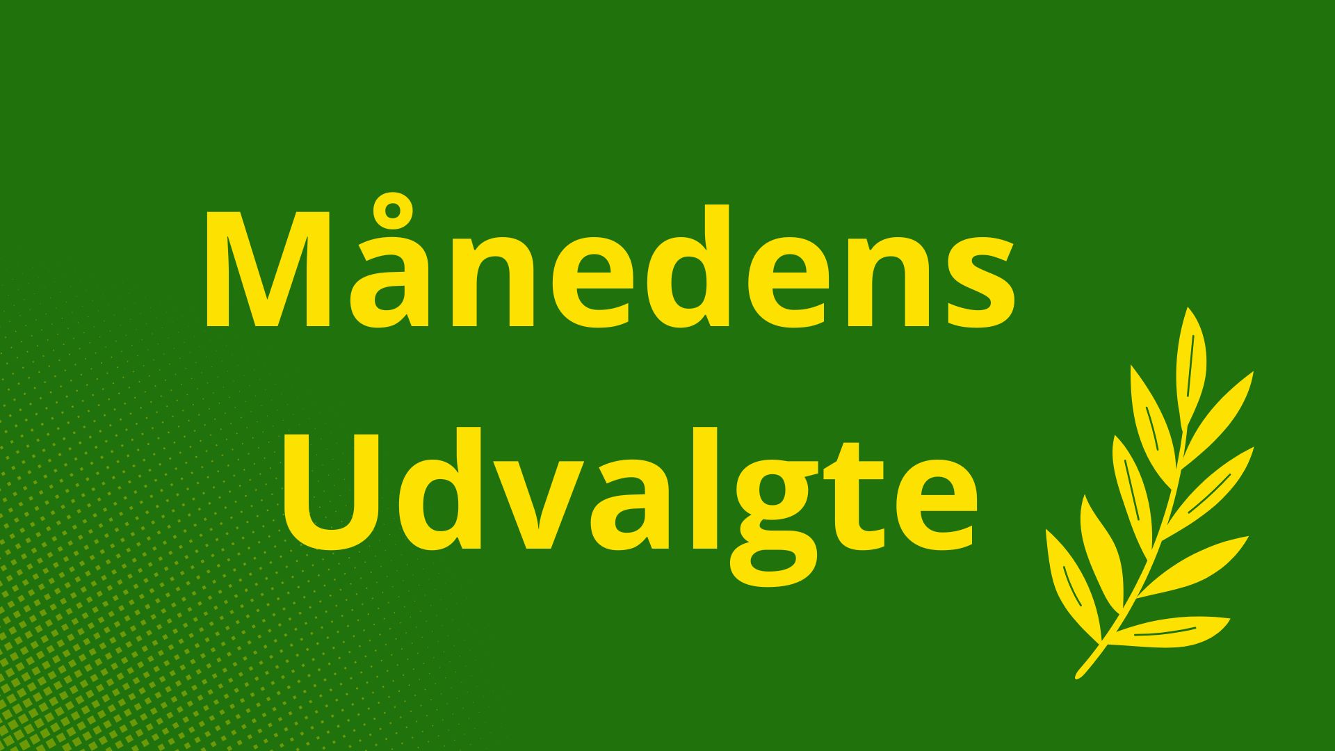 Månedens Udvalgte